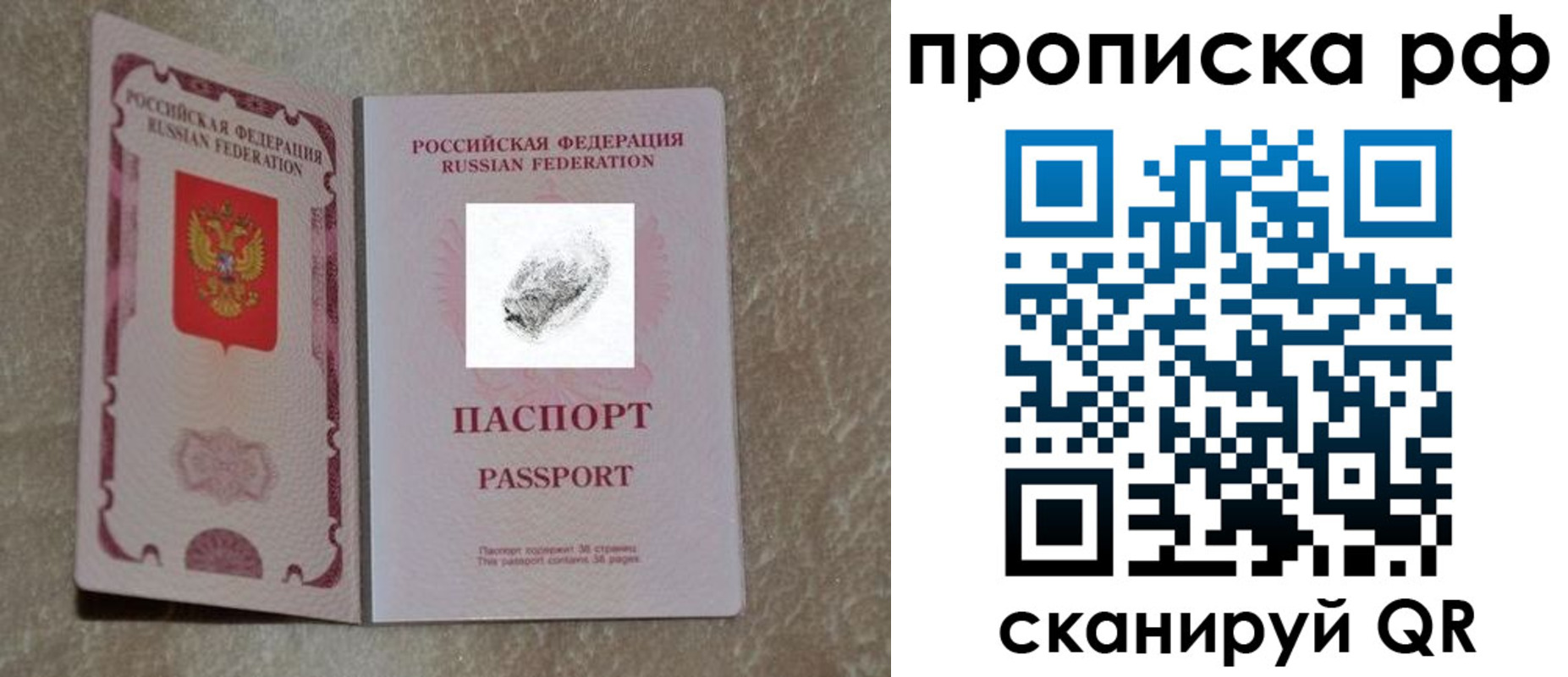 прописка поиск в Змеиногорске